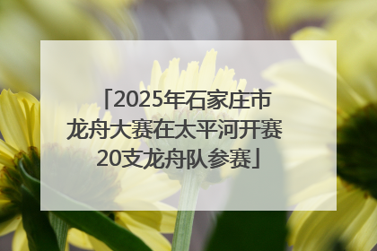 2025年石家庄市龙舟大赛在太平河开赛 20支龙舟队参赛