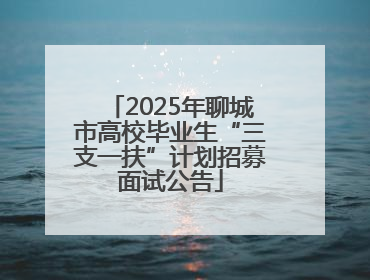 2025年聊城市高校毕业生“三支一扶”计划招募面试公告