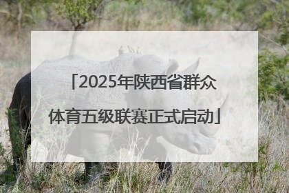2025年陕西省群众体育五级联赛正式启动