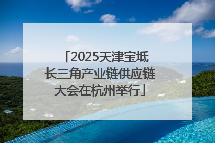 2025天津宝坻长三角产业链供应链大会在杭州举行