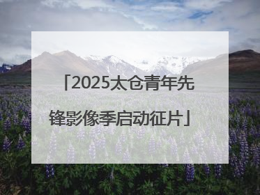 2025太仓青年先锋影像季启动征片