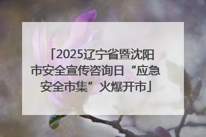 2025辽宁省暨沈阳市安全宣传咨询日“应急安全市集”火爆开市