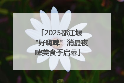 2025都江堰“好嗨啤”消夏夜啤美食季启幕
