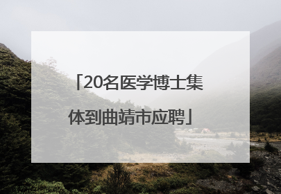 20名医学博士集体到曲靖市应聘