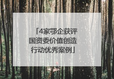 4家鄂企获评国资委价值创造行动优秀案例