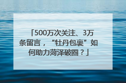500万次关注、3万条留言，“牡丹包裹”如何助力菏泽破圈？