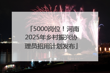 5000岗位！河南2025年乡村振兴协理员招用计划发布