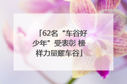 62名“车谷好少年”受表彰 榜样力量耀车谷