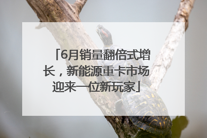 6月销量翻倍式增长，新能源重卡市场迎来一位新玩家