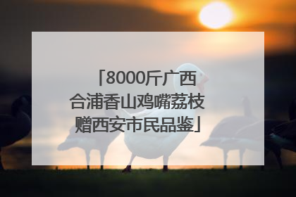 8000斤广西合浦香山鸡嘴荔枝赠西安市民品鉴