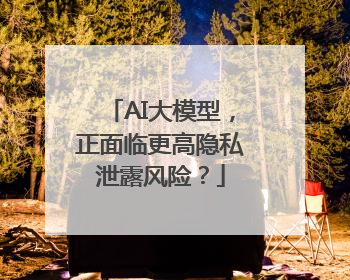 AI大模型，正面临更高隐私泄露风险？