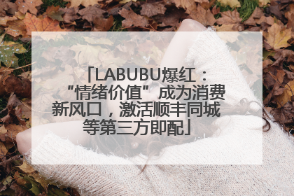 LABUBU爆红：“情绪价值”成为消费新风口，激活顺丰同城等第三方即配