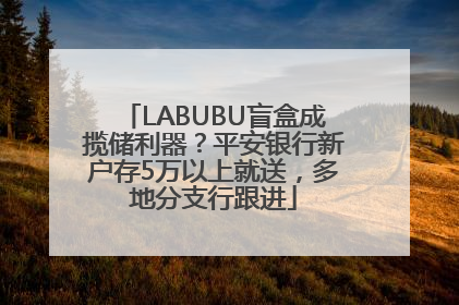 LABUBU盲盒成揽储利器？平安银行新户存5万以上就送，多地分支行跟进